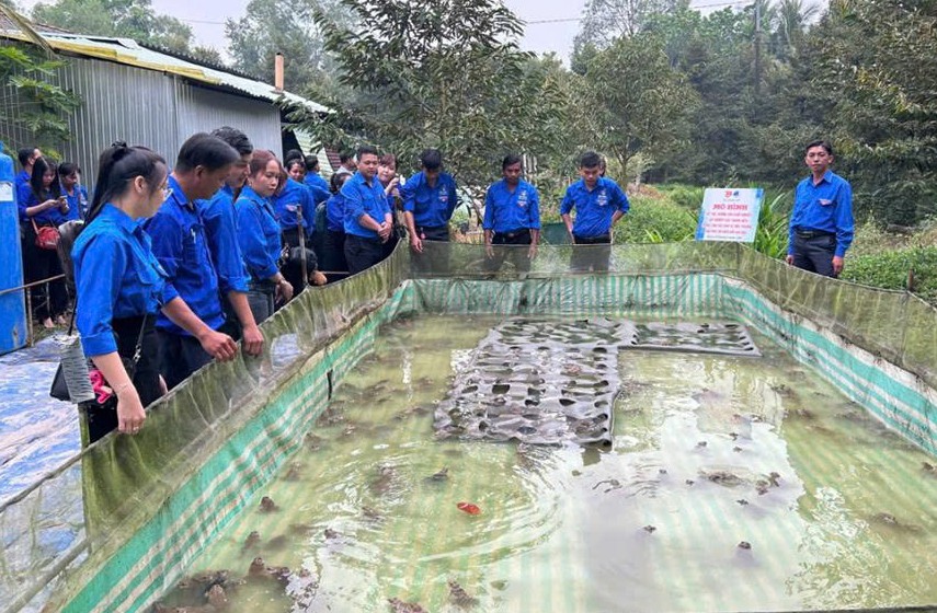 TÍN DỤNG CHÍNH SÁCH – ĐÒN BẨY GIÚP ĐỒNG BÀO KHMER PHÁT TRIỂN KINH TẾ BỀN VỮNG